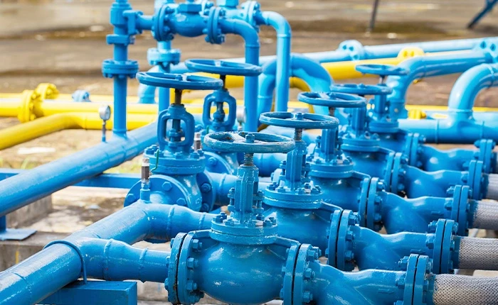 a butterfly valve