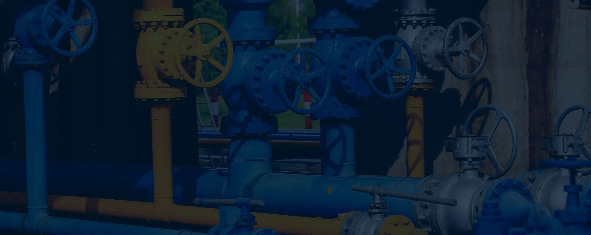 check valve 1 1 4 inch