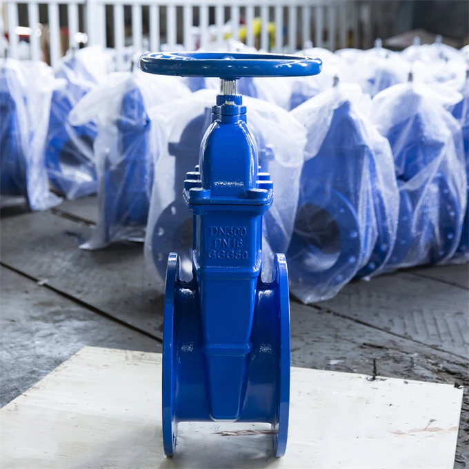 Unlocking Precision With Gate Valves And Globe Valves