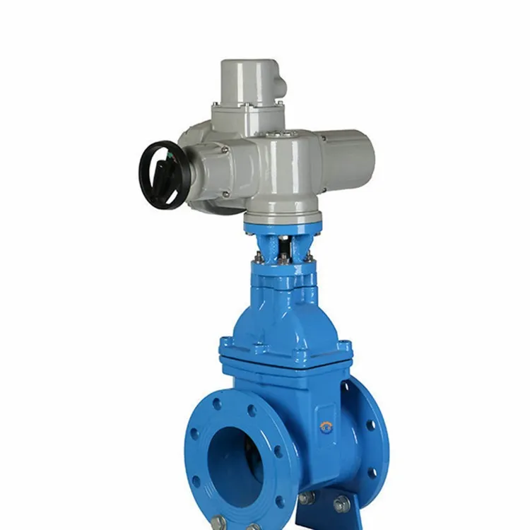 Example Image