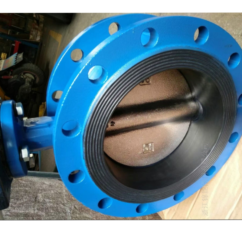 back flow check valve