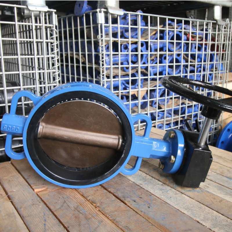 piston type check valve